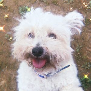 Meet your Posher, Ligia